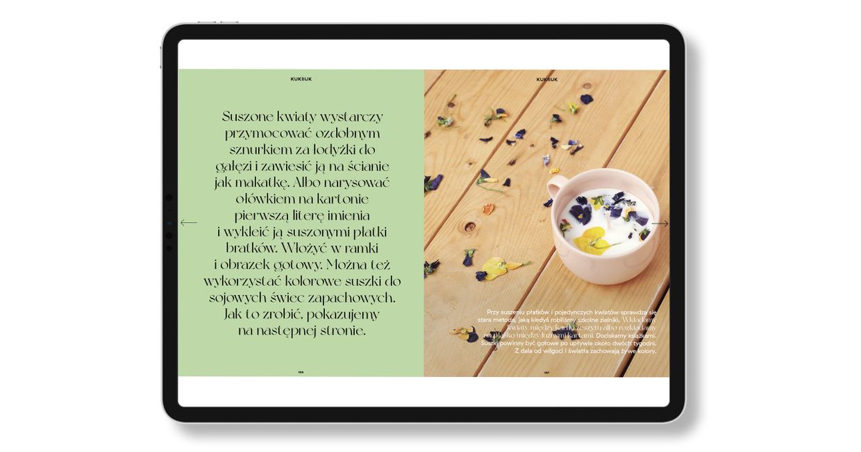 Ebook Na pikniku, kreatywne pomysły